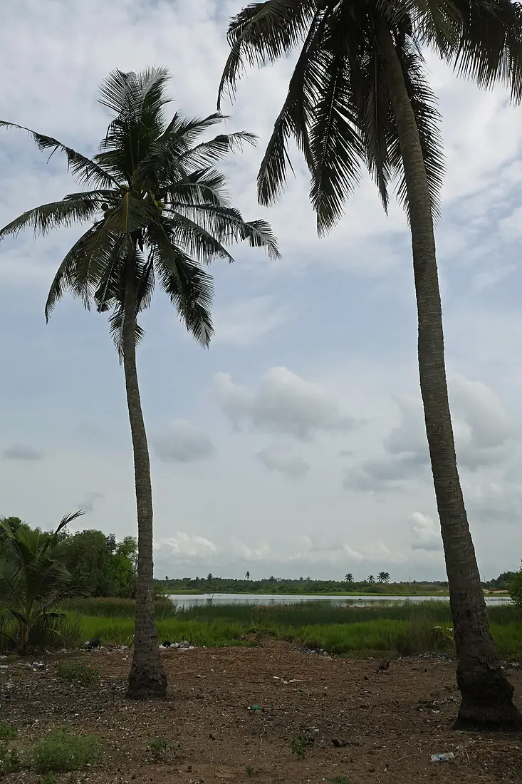 Cours du Mono au Bénin (1)