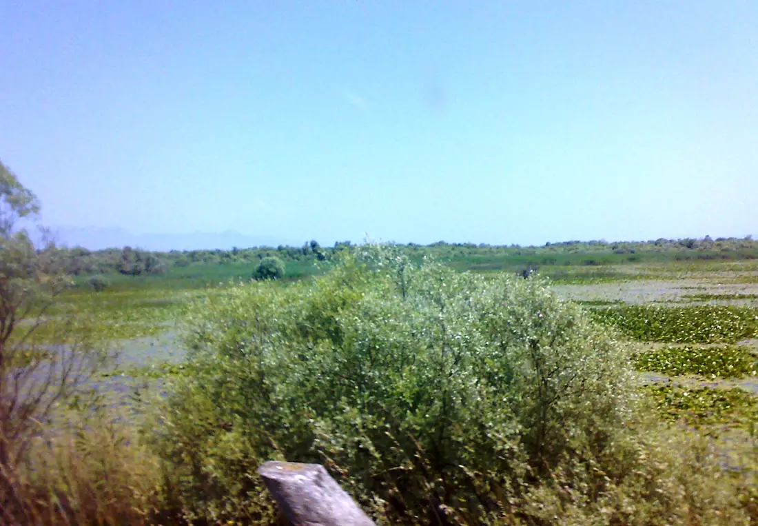 Montenegro 4869 Moraca delta