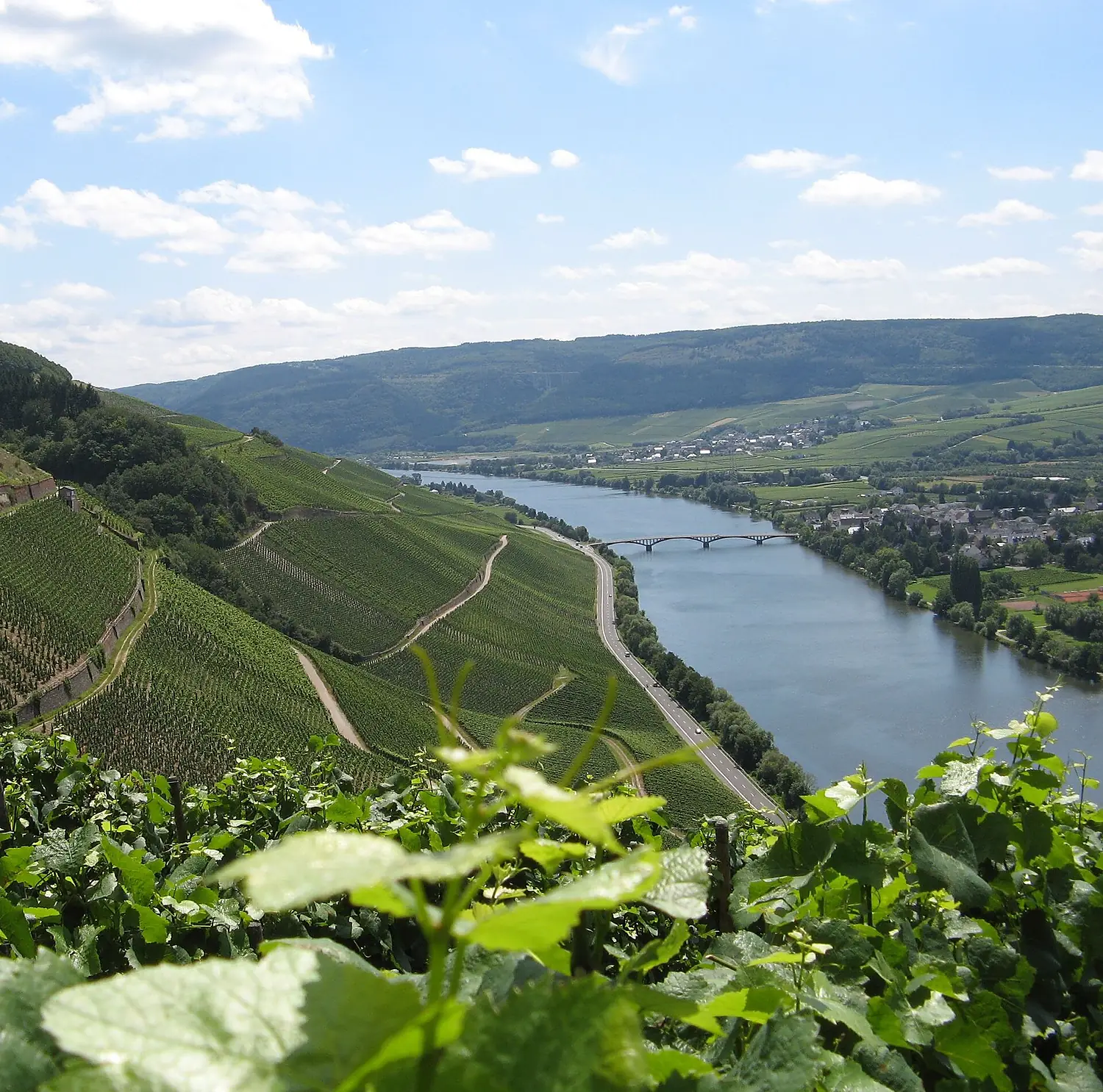 Schweicher Annaberg