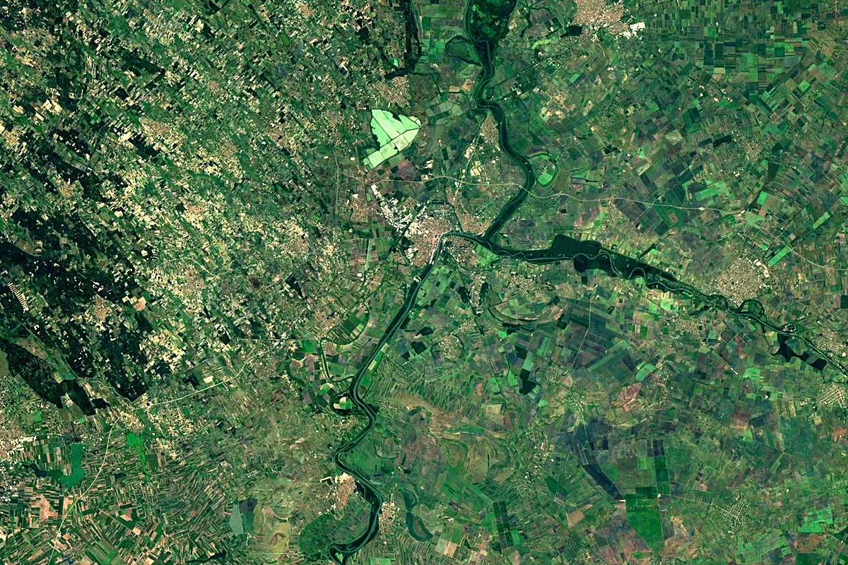 Mureș River: satellite view of the mouth