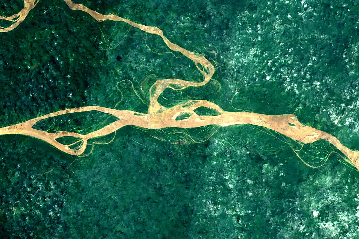 Napo River: satellite view of the mouth