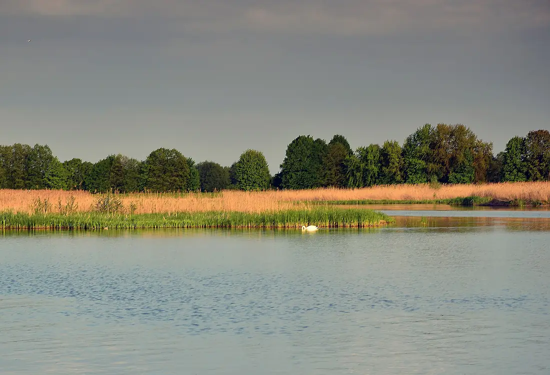 NAREW 033