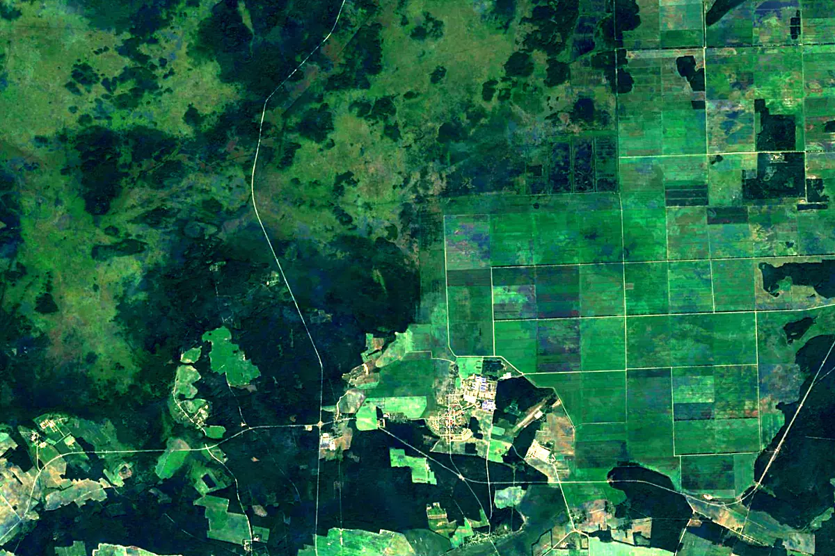 Narew: satellite view of the source