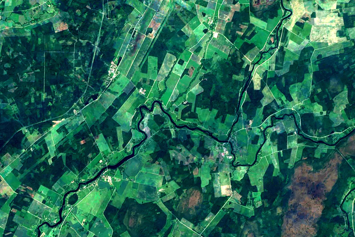 Navesti River: satellite view of the mouth