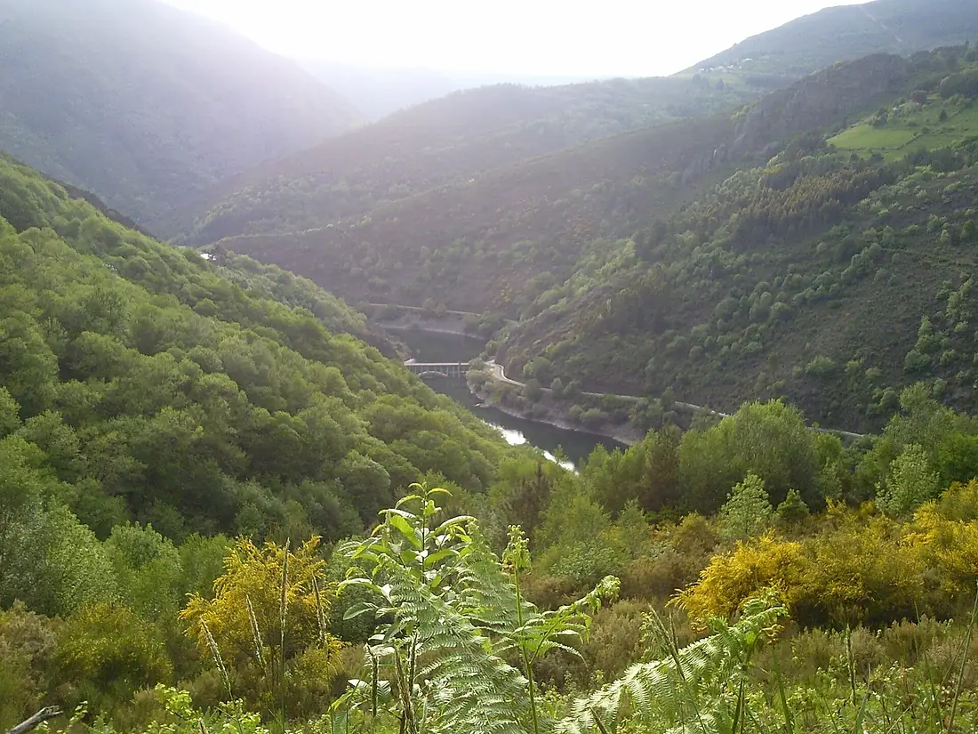 Vistas del Río Navia (5704131335)