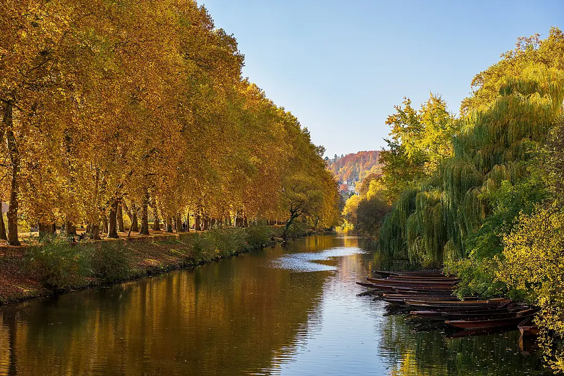 Tübingen - Neckarinsel - Blick entlang Neckar im Herbst