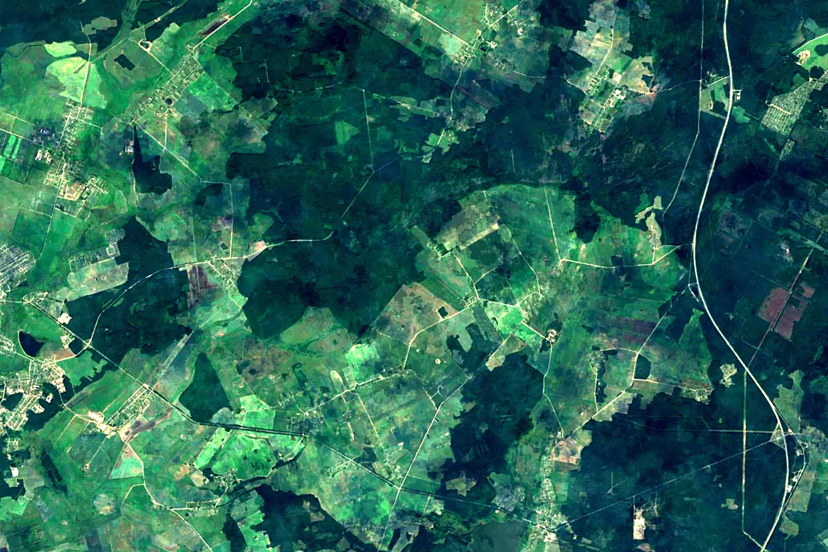 Neman: satellite view of the source