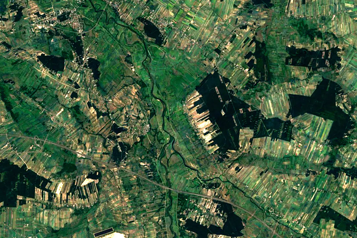 Ner: satellite view of the mouth
