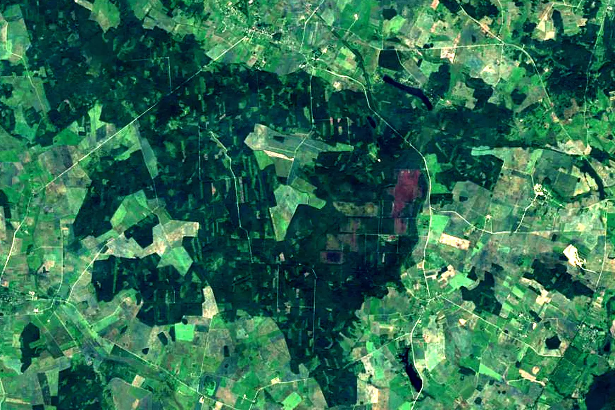 Nevėžis: satellite view of the source