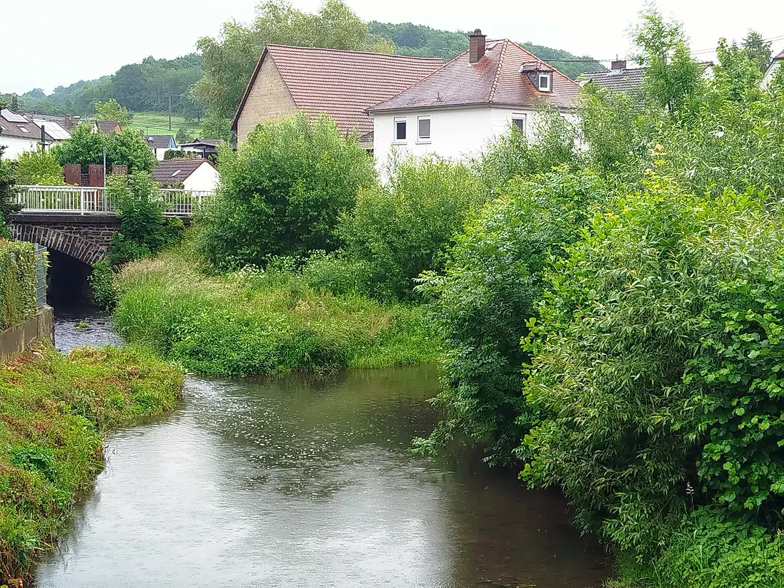 Eichelbachmündung (Nidda)