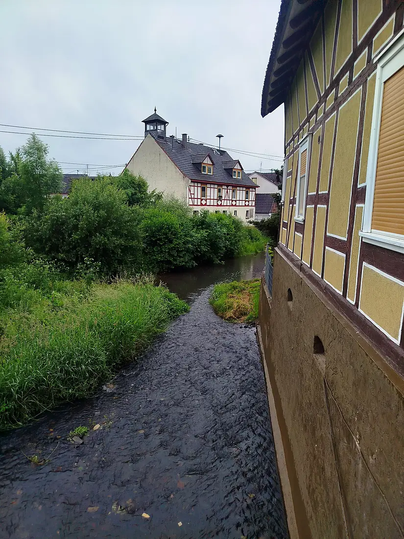 Nidda in Eichelsdorf (2)