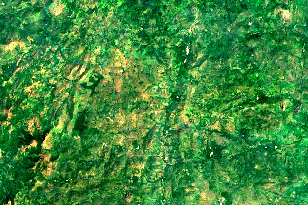 Niger River: satellite view of the source