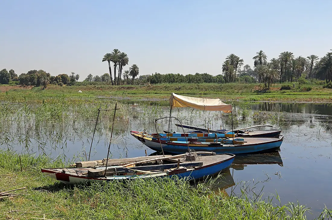 Nile Rowing Boats R01