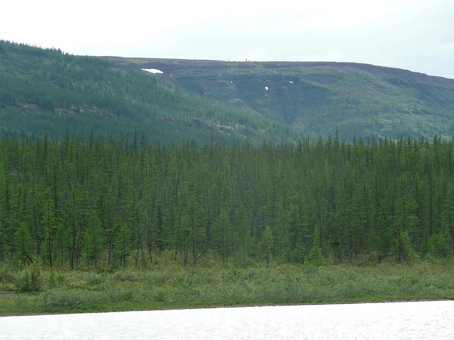 Srednesibirskoe ploskogorie vid s reki Tunguska 01