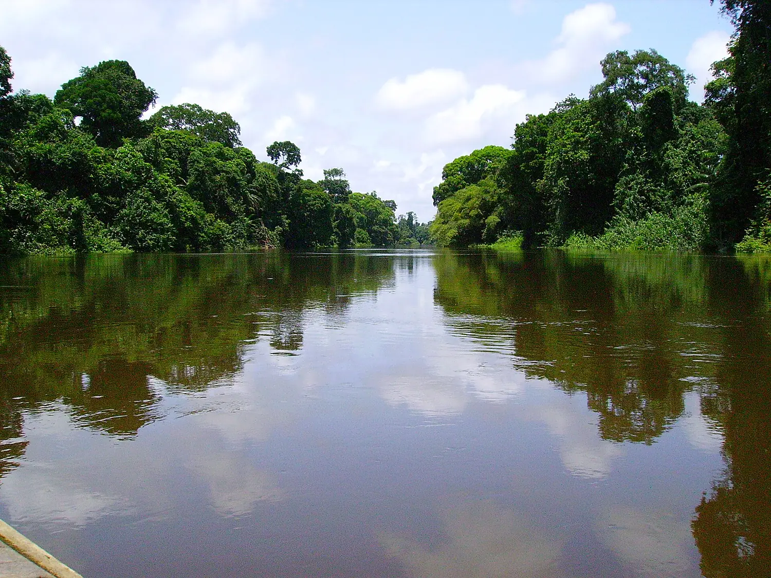 Nyong river Cameroon