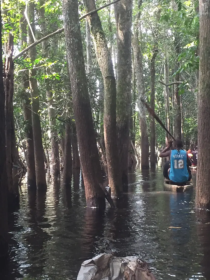 At the Jungles of River Nyong