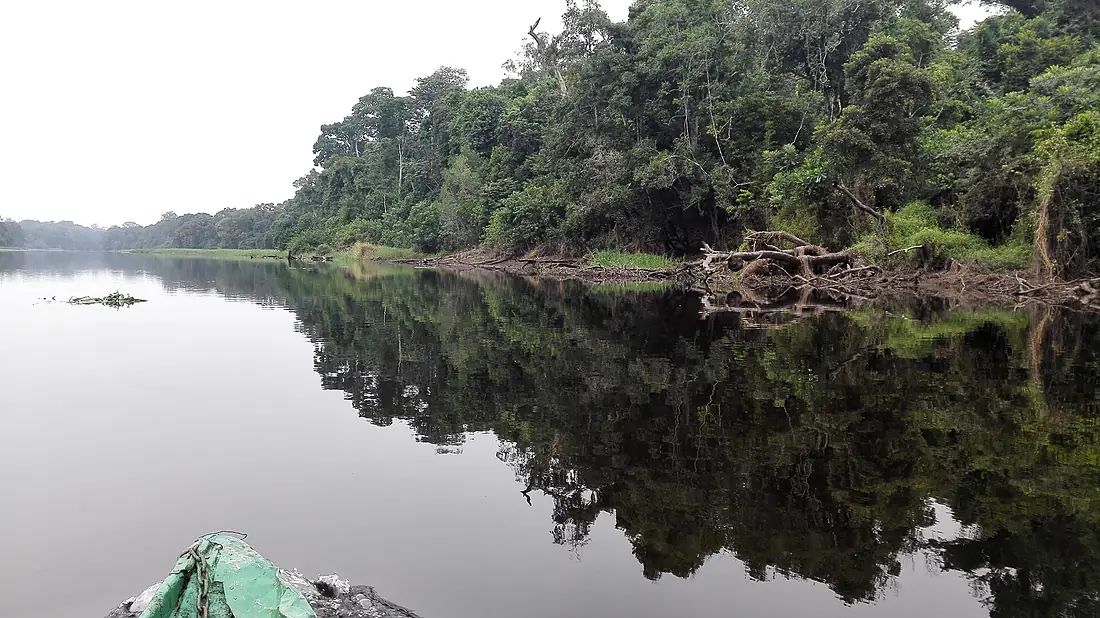 Balade sur le Nyong, Site écotouristique d'Ebogo, Cameroun
