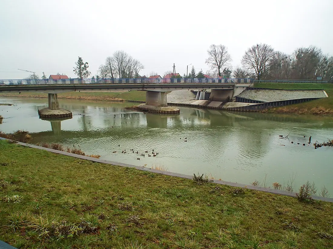 Nysa Klodzka Bridge, Lewin Brzeski (2)