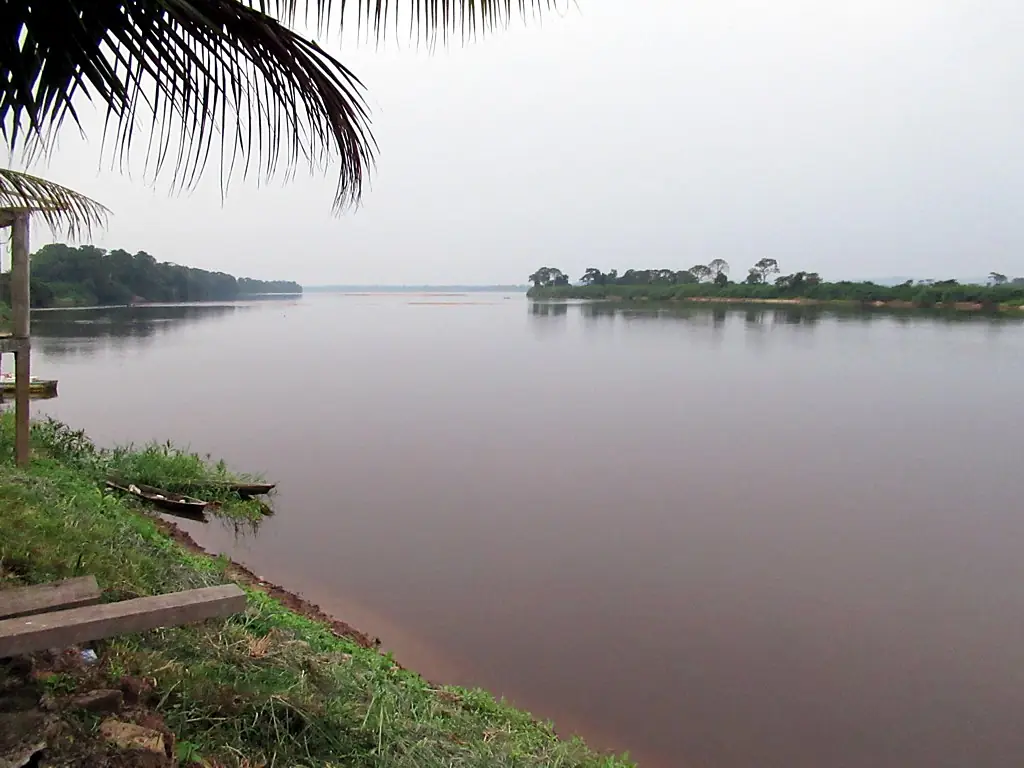 Ogooue River (46256022452)