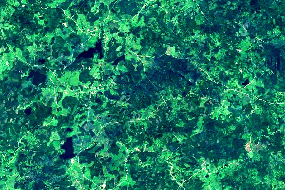 Ogre River: satellite view of the source