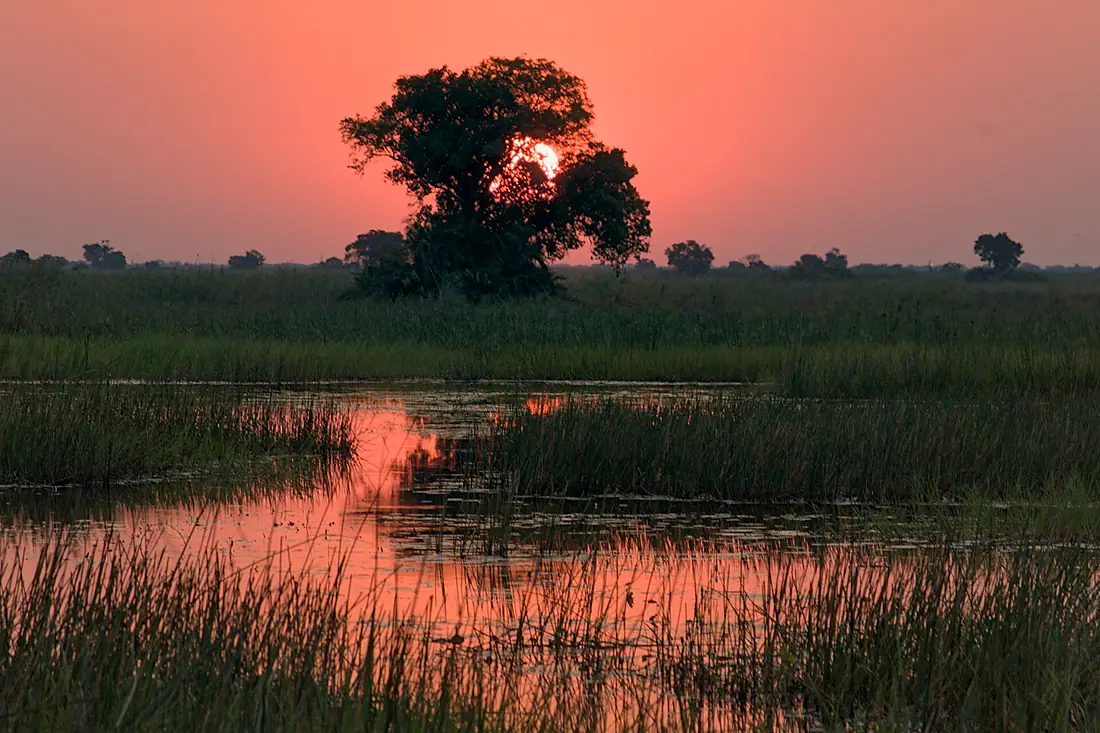 Dusk over Okavango