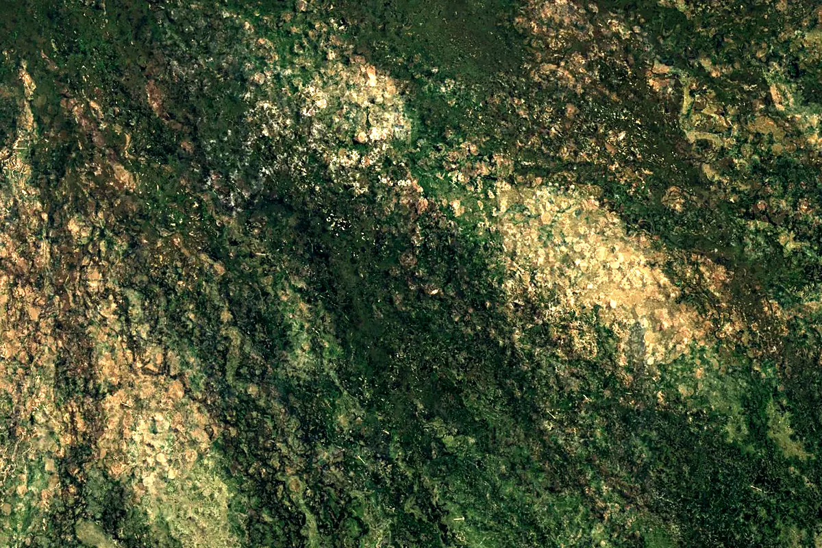 Okavango Delta: satellite view of the mouth