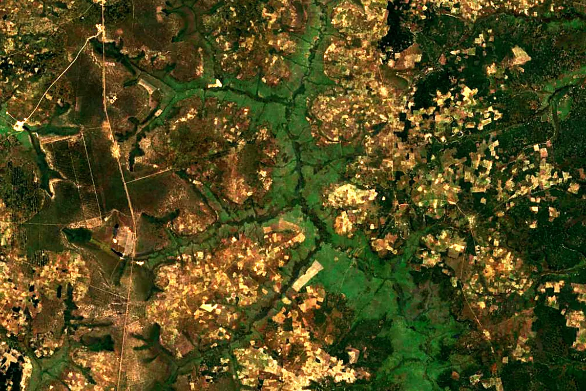 Okavango Delta: satellite view of the source