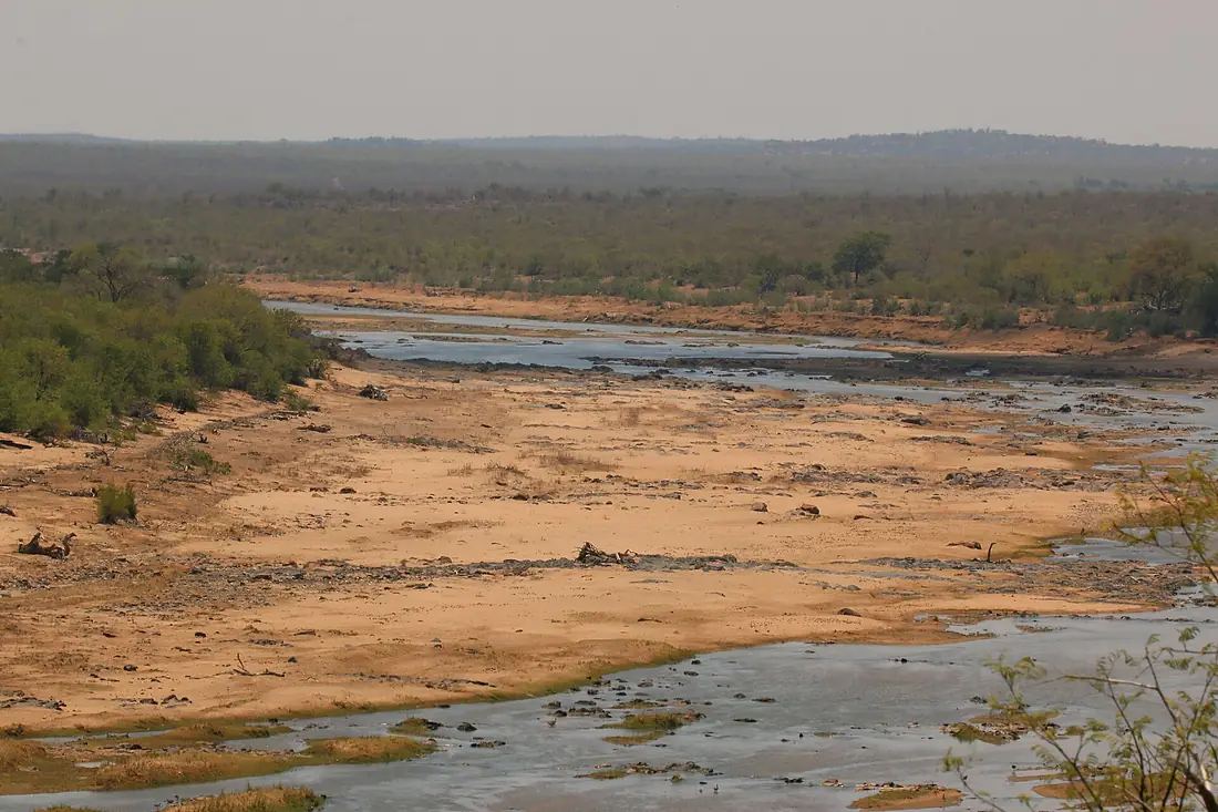 A very dry Olifants River, drought affected Kruger National Park South Africa (28380827372)
