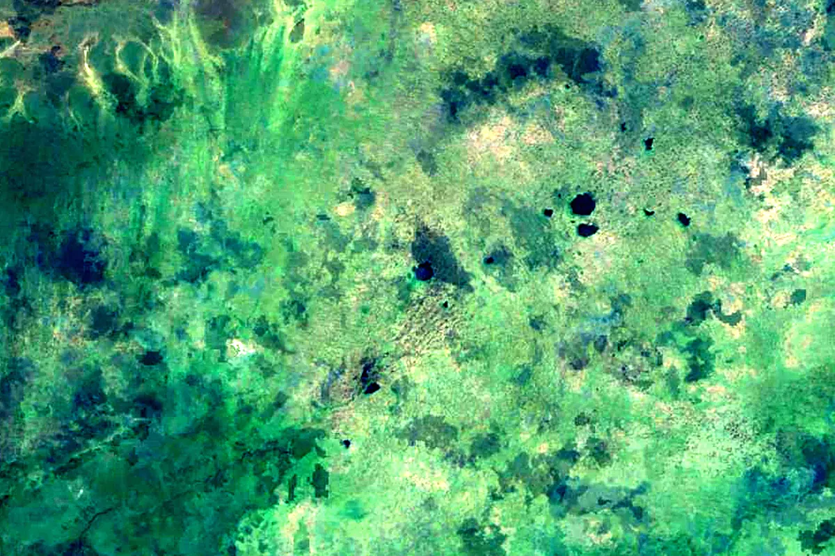Om: satellite view of the source