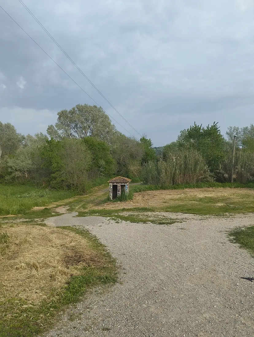 Golena fiume Ombrone Berrettino