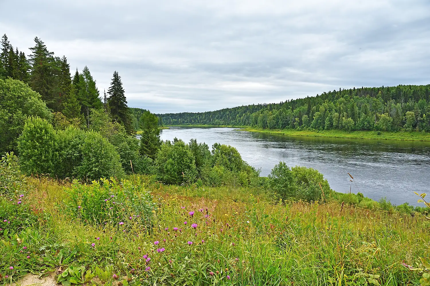 OnegaRiver 008 5561