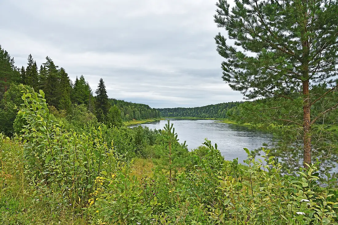 OnegaRiver 008 5566