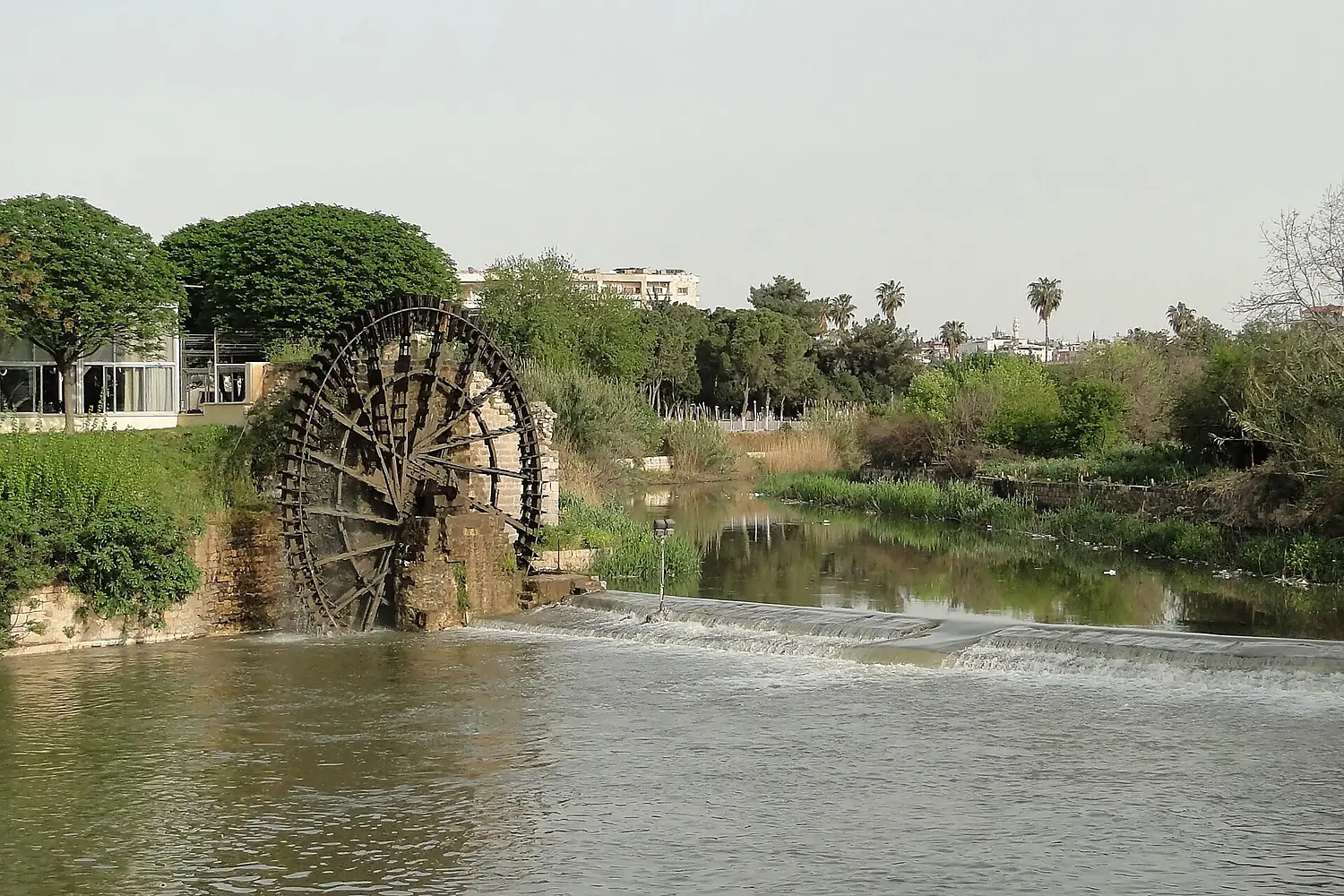 Noria in Hama 01