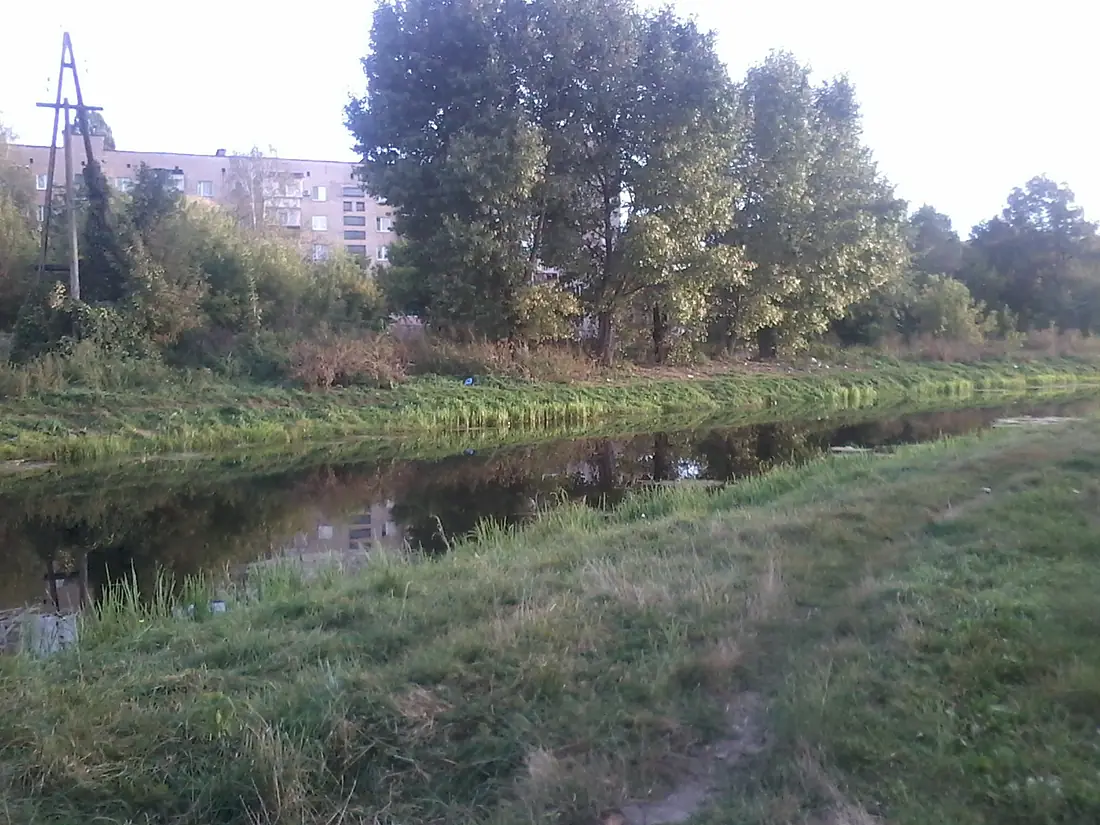 Oster 2