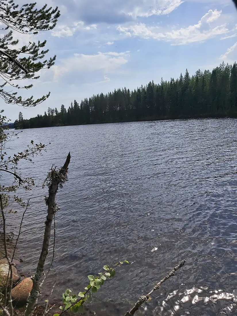 Österdalälven 2022