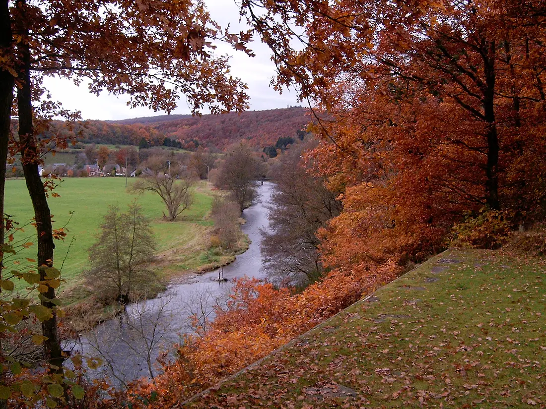 Ourthe333