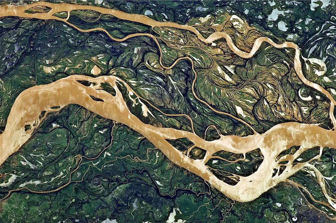 Paraná River Floodplain, Northern Argentina