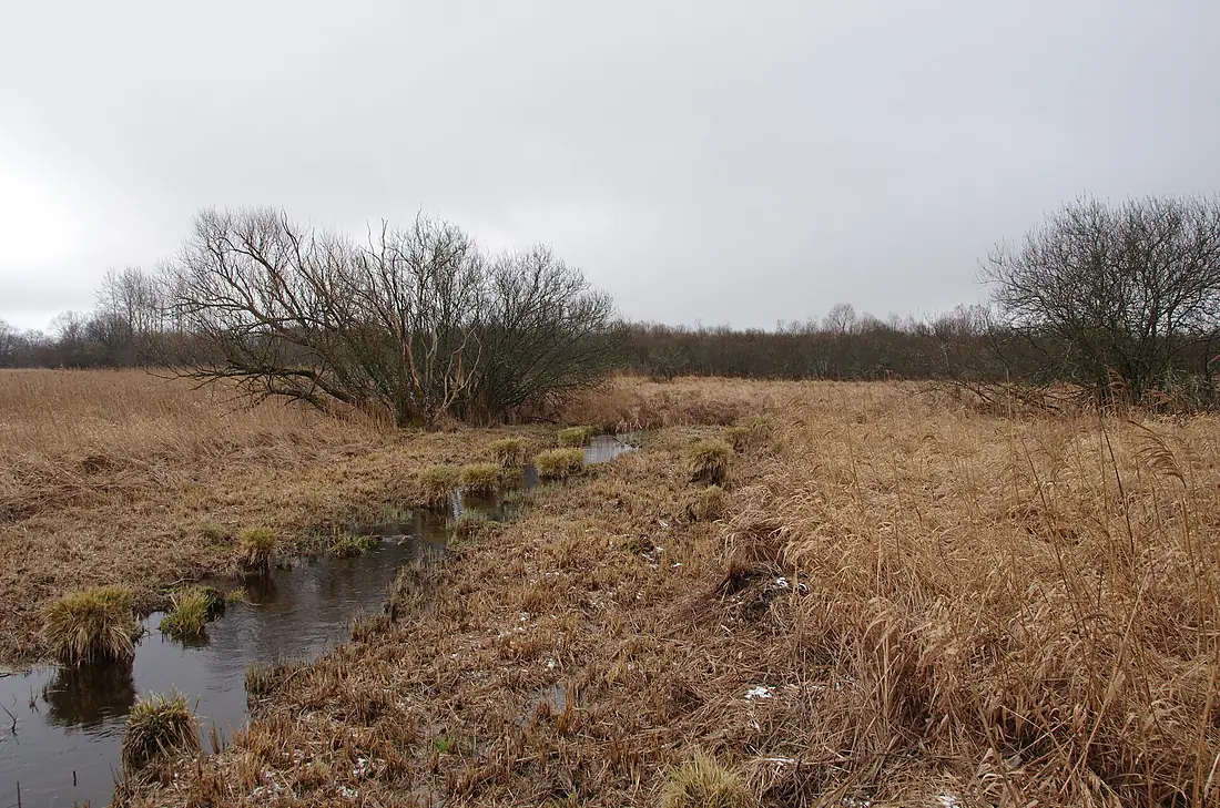 Parsęta-Source-Near-Parsęcko-00