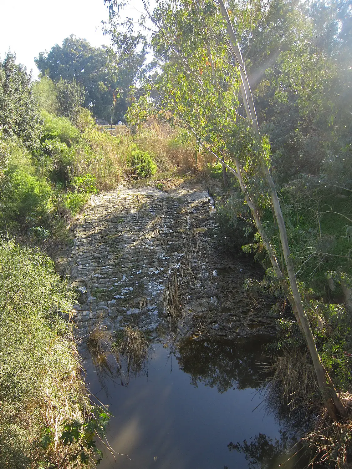 Pedieos River