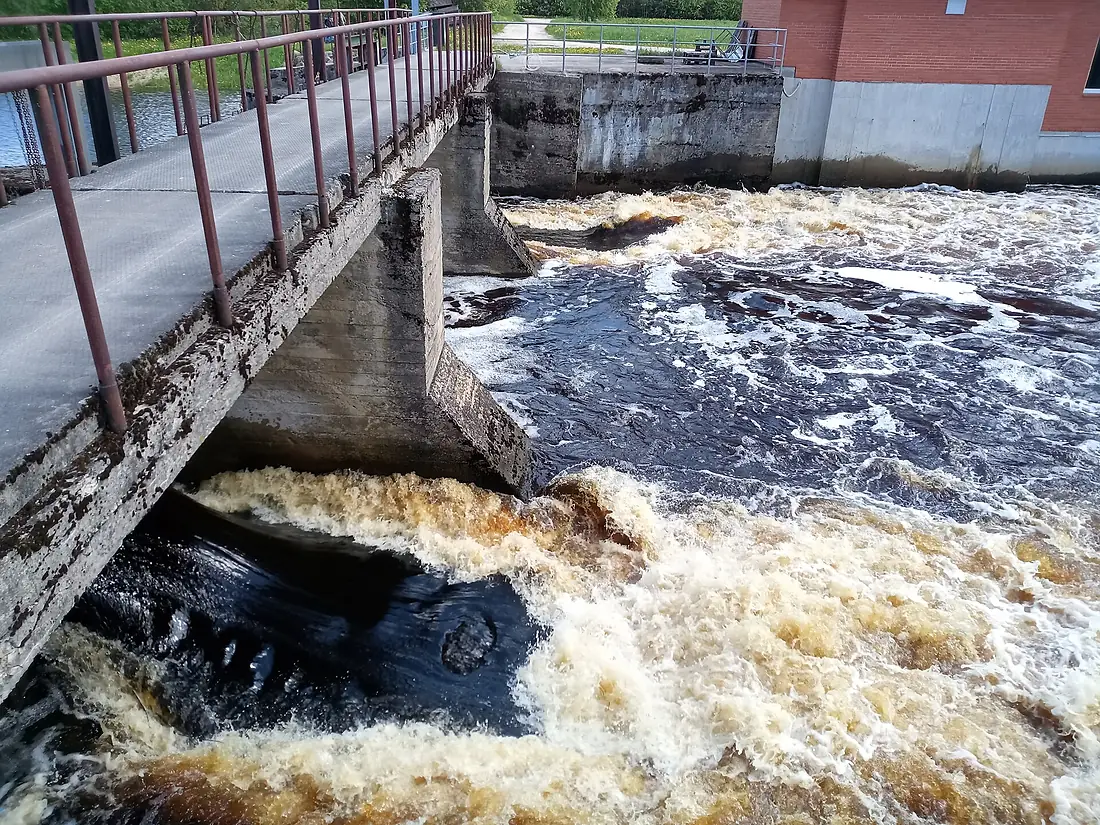 Painküla pais Pedja jõel