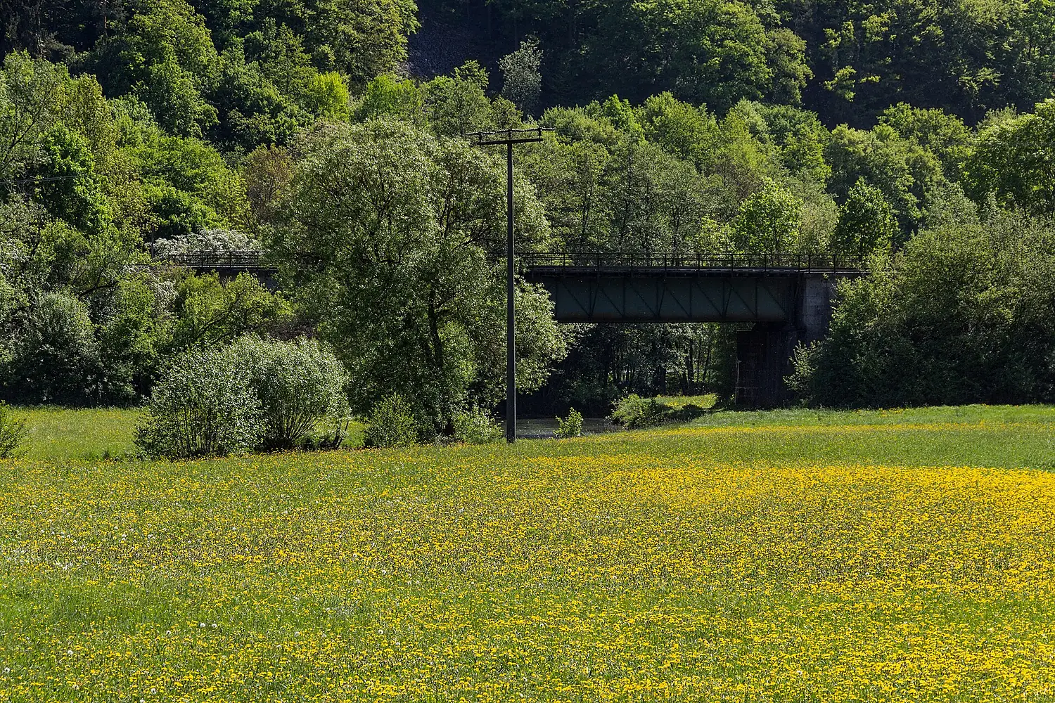 2018 Pegnitztal 01