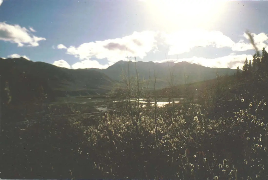 Pelly River2