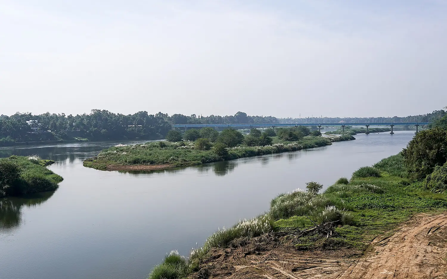 Periyar SW Kalady Bridge Ernakulam Dec22 A7C 04820