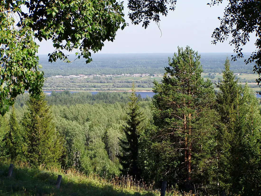 Pinega Krasnaya gorka