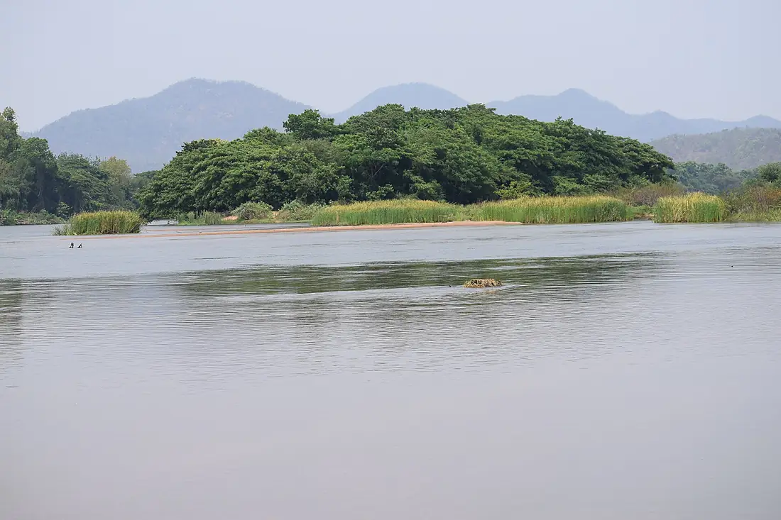 Ping River in Tak 1