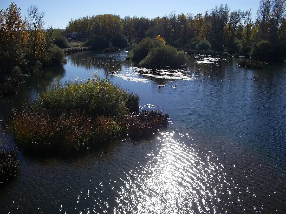 El río Pisuerga - panoramio