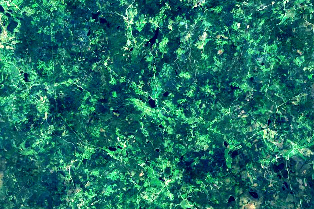 Piusa River: satellite view of the source