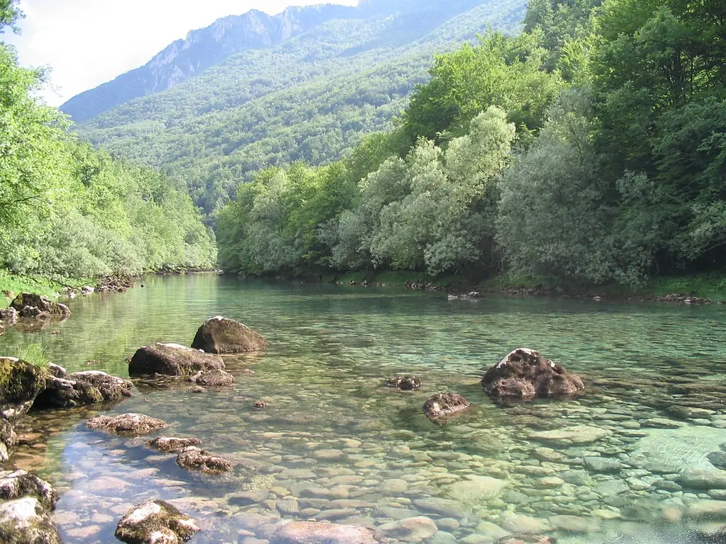Piva sastavci u BiH