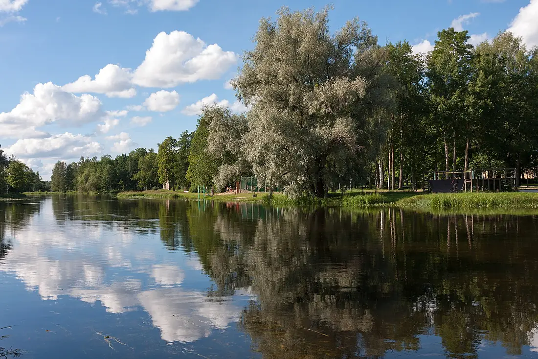 Põltsamaa River and trees in Põltsamaa