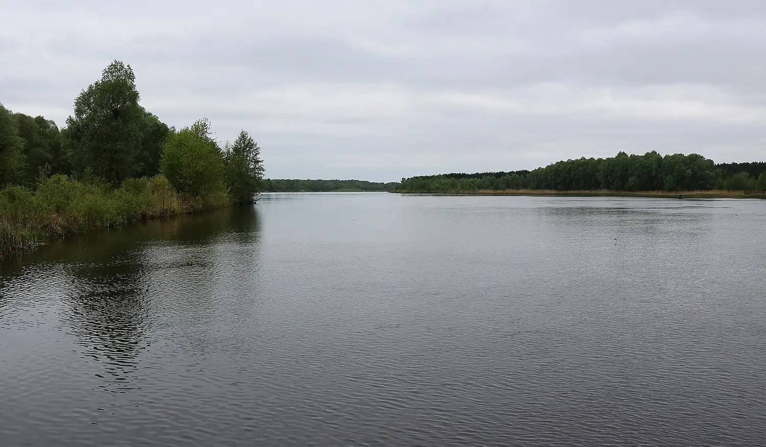 Pripyat River in Chernobyl 2019 G2